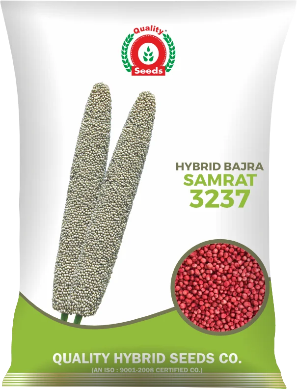 Samrat-3237