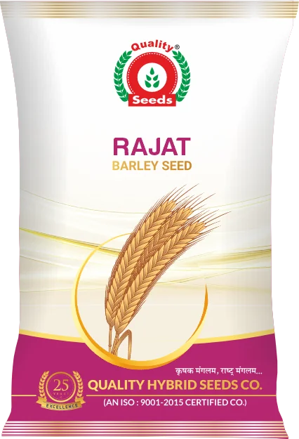 Rajat Improved