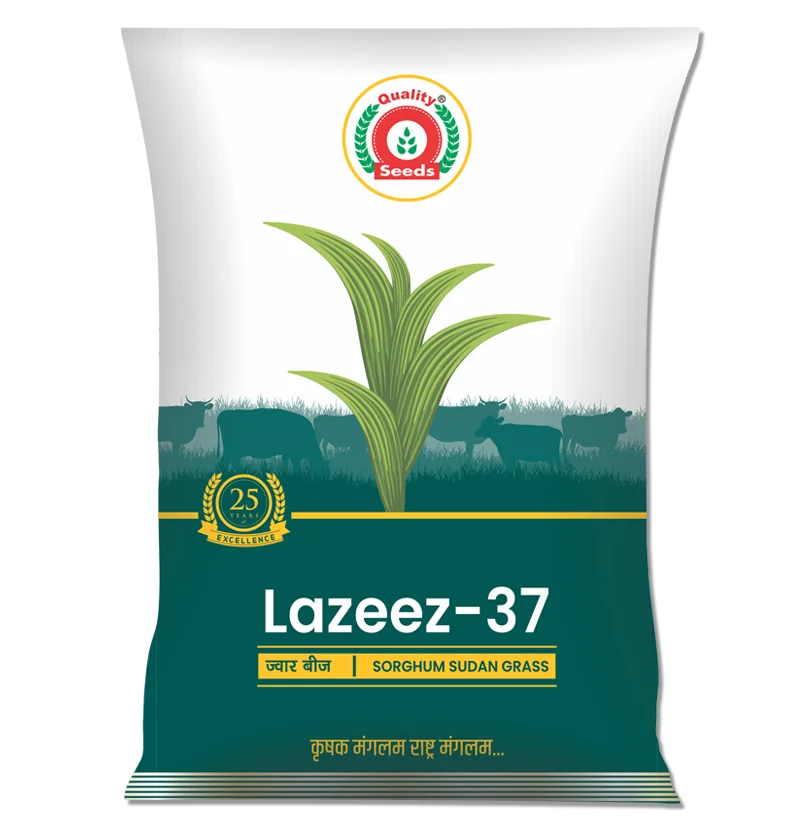 Lazeez-37