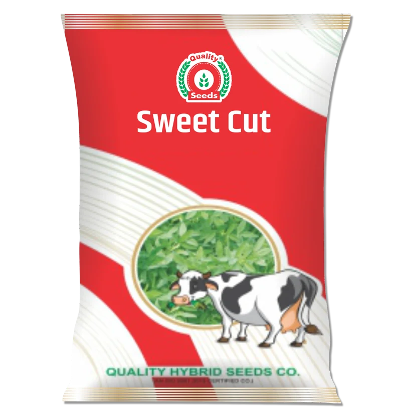 Sweet Cut