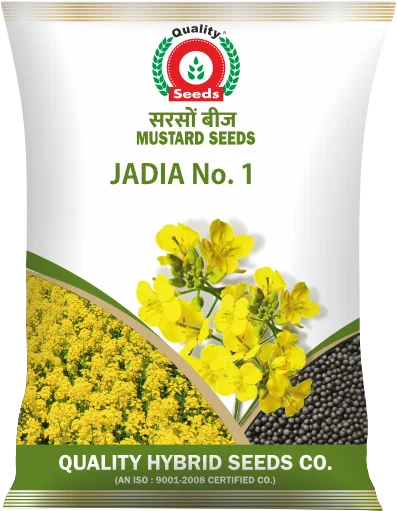 Jadia No.1