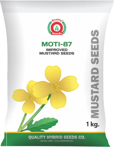 Moti-87