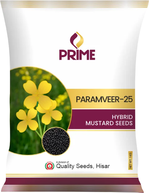 Paramveer-25