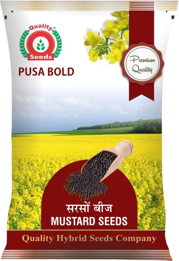 Pusa Bold