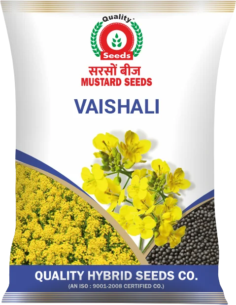 Vaishali