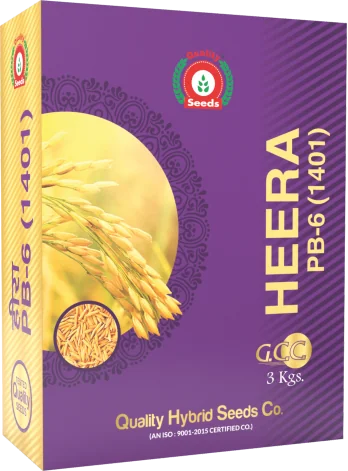 Heera PB-6 (1401)