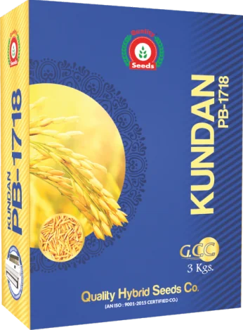 Kundan PB-1718