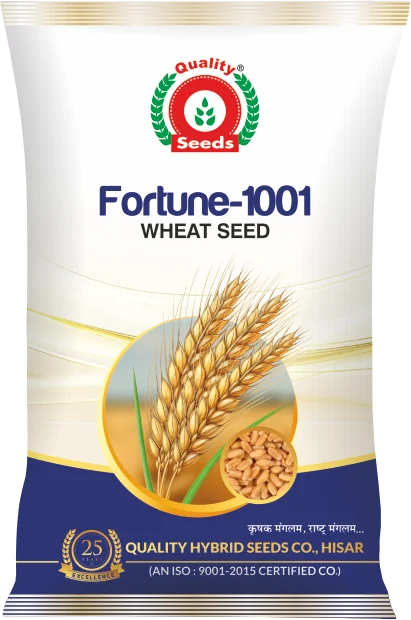 Fortune-1001