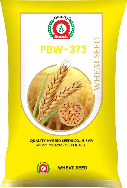 PBW-373