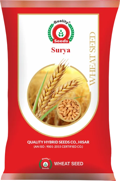 Surya