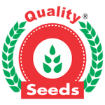 footer_logo